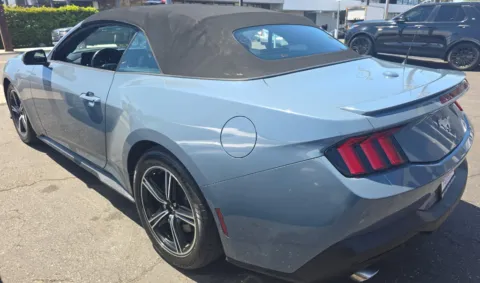 More photos of 2024 Ford Mustang EcoBoost Premium at RightDrive - 8320 Gateway East, TX