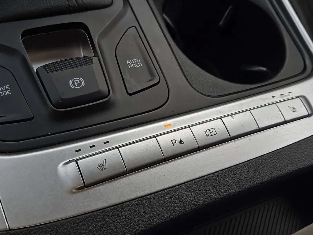 Kia Carnival photo 21