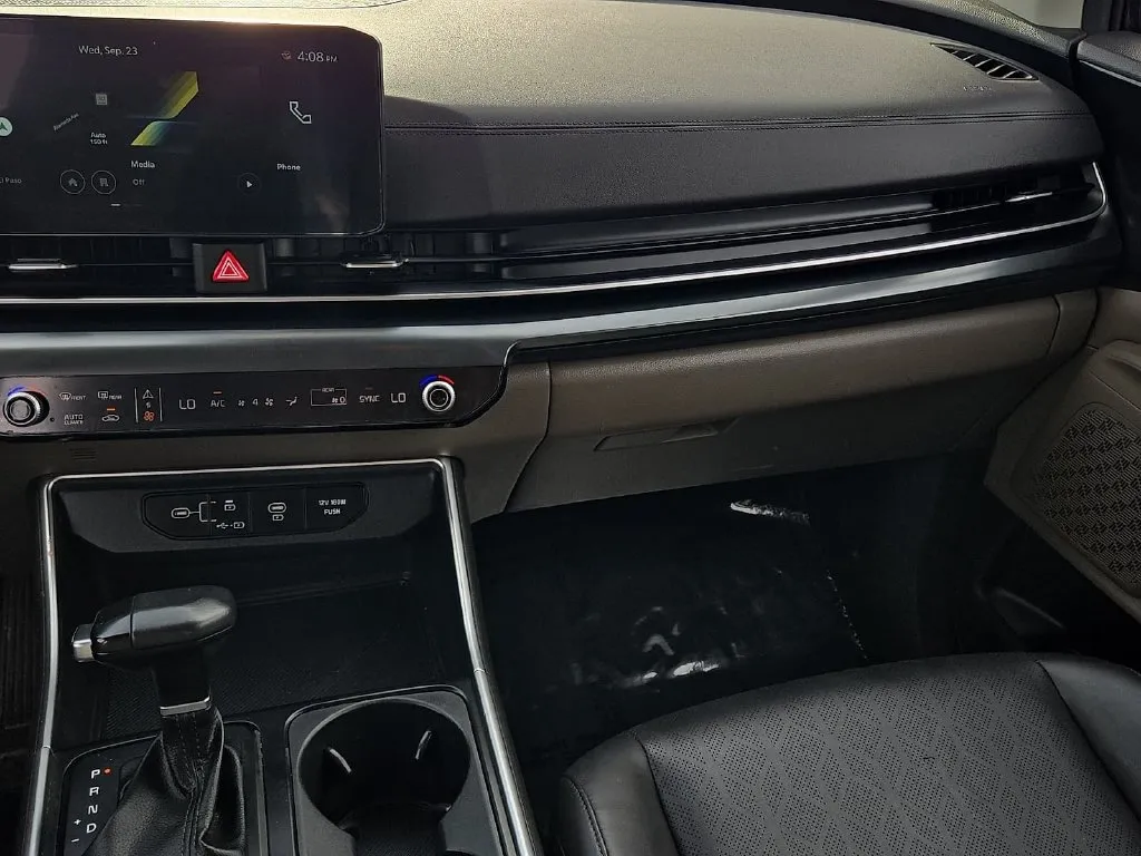 Kia Carnival photo 15
