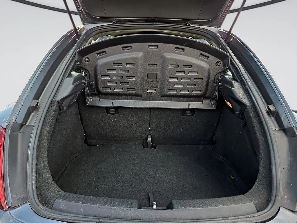 Volkswagen Beetle photo 13