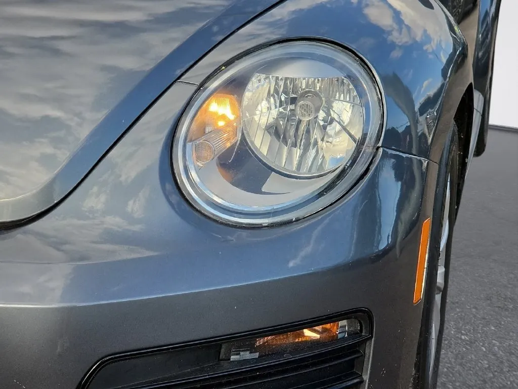 Volkswagen Beetle photo 8