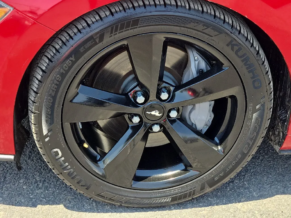 Ford Mustang photo 8