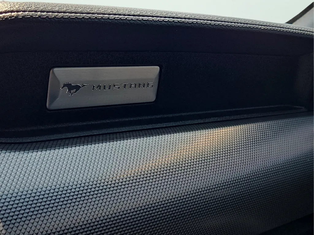 Ford Mustang photo 19
