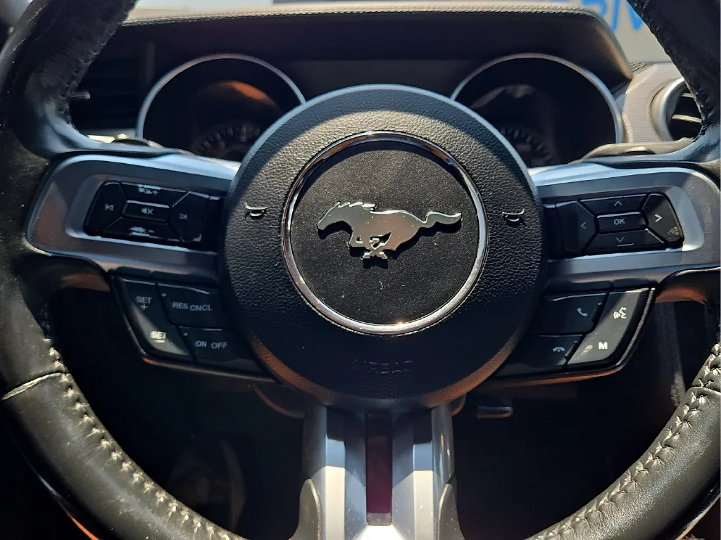 Ford Mustang photo 24