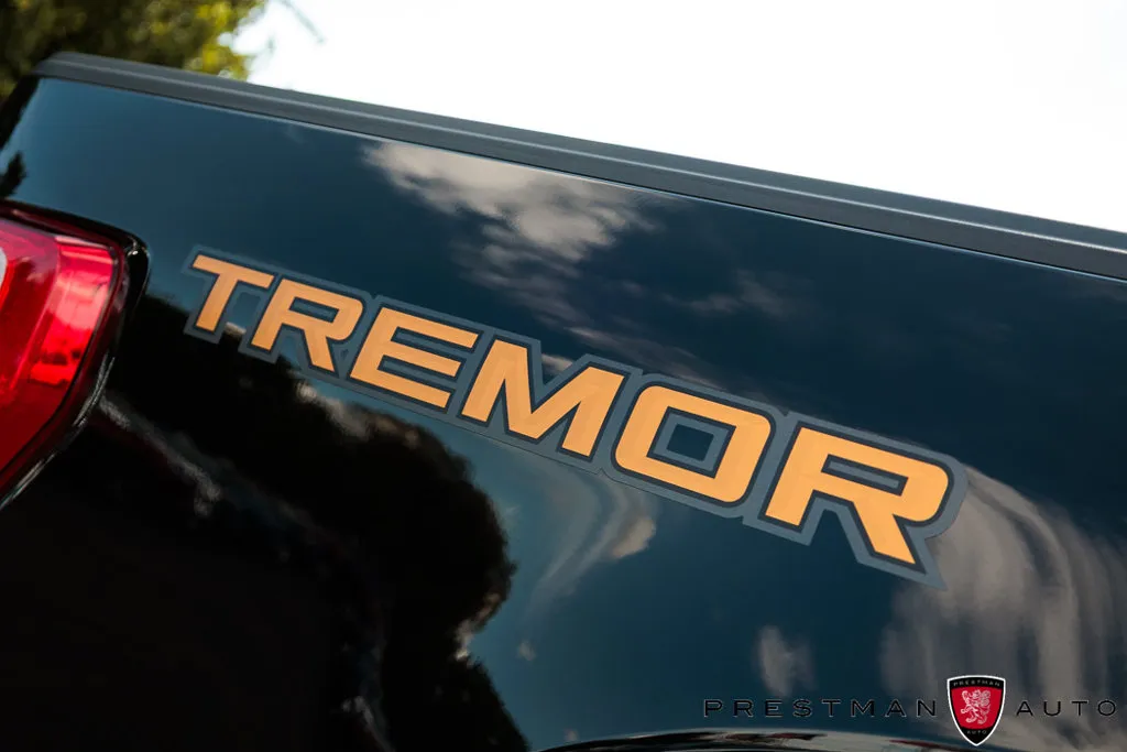 Ford F-150 photo 12