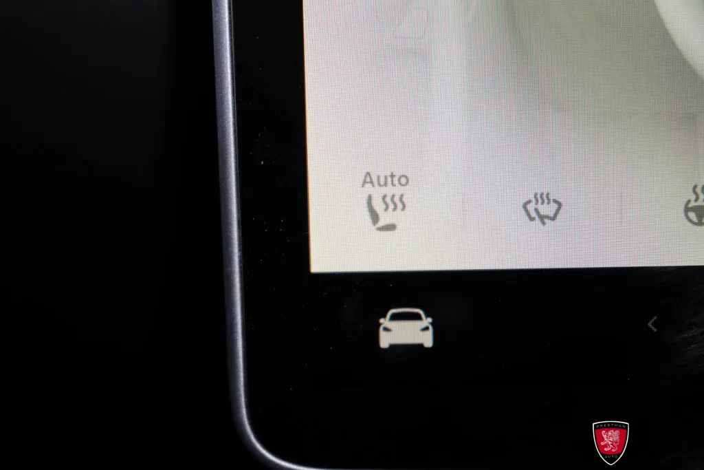 Tesla Model 3 photo 19