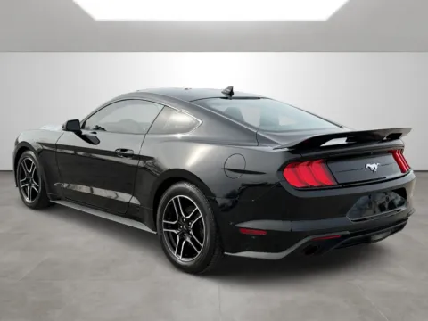 More photos of 2022 Ford Mustang Eco Premium at Tri-State Motor Company, AR