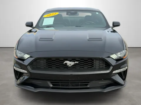 Photos of 2022 Ford Mustang Eco Premium for sale in Blytheville, AR at Tri-State Motor Company