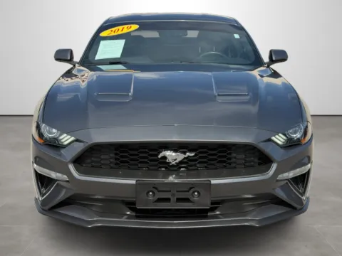 Photos of 2019 Ford Mustang for sale in Blytheville, AR at Tri-State Motor Company