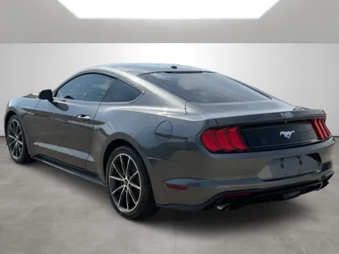 More photos of 2019 Ford Mustang at Tri-State Motor Company, AR