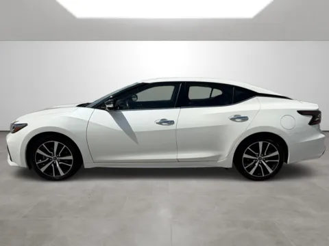 More photos of 2023 Nissan Maxima 3.5 SV at Tri-State Motor Company, AR