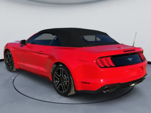 More photos of 2020 Ford Mustang at Tri-State Motor Company, AR