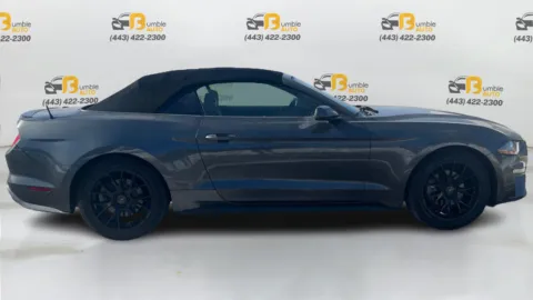 More photos of 2020 Ford Mustang EcoBoost Premium Convertible 2D at Bumble Auto - Elkridge, MD