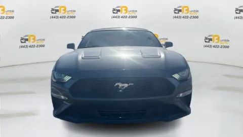 Photos of 2020 Ford Mustang EcoBoost Premium Convertible 2D for sale in Elkridge, MD at Bumble Auto - Elkridge