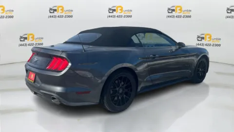 More photos of 2020 Ford Mustang EcoBoost Premium Convertible 2D at Bumble Auto - Elkridge, MD
