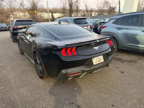 Photos of 2024 Ford Mustang EcoBoost Premium Fastback for sale in Elkridge, MD at Bumble Auto - Elkridge