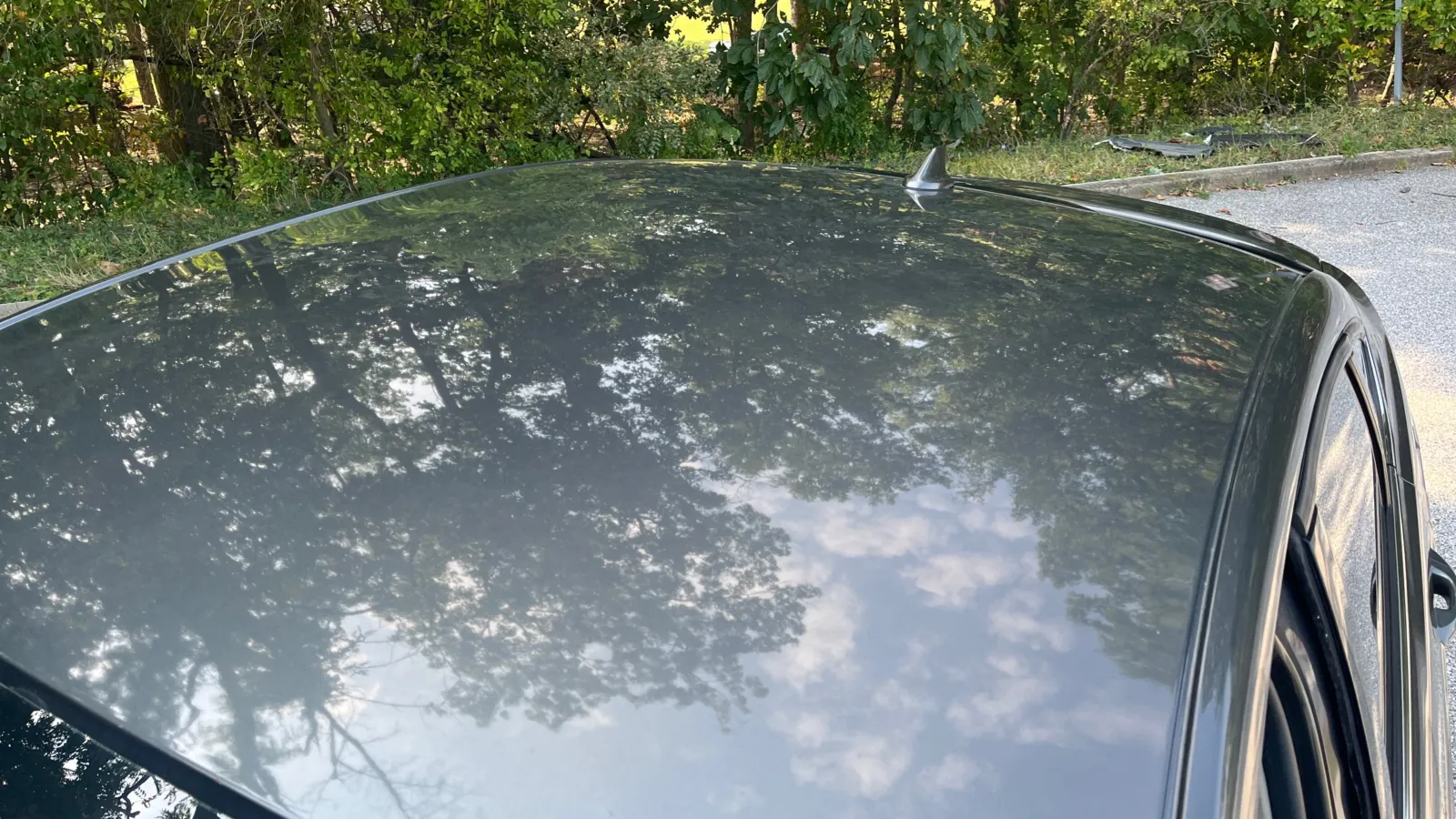 Ford Fusion photo 11