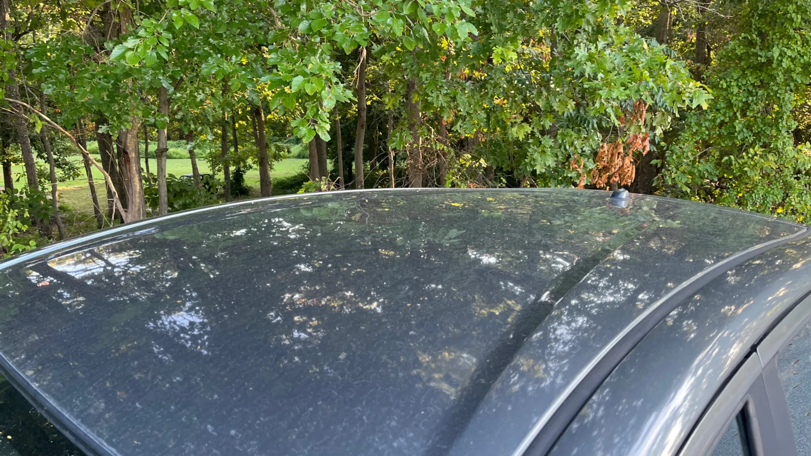Nissan Versa Note photo 11