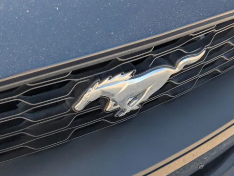 More photos of 2019 Ford Mustang EcoBoost Premium at Nissan of LaGrange, GA