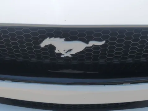 More photos of 2022 Ford Mustang GT Premium at Nissan of LaGrange, GA