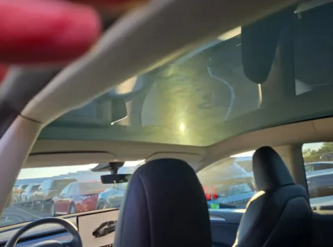 More photos of 2022 Tesla Model Y Performance at Nissan of LaGrange, GA