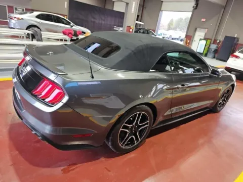 Photos of 2019 Ford Mustang GT Premium for sale in Marietta, GA at Gravity Motor Cars