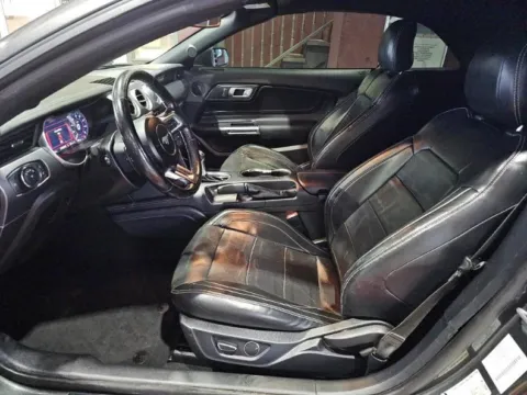 More photos of 2019 Ford Mustang GT Premium at Gravity Motor Cars, GA