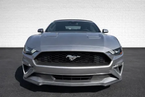 Photos of 2021 Ford Mustang EcoBoost Premium for sale in Marietta, GA at Gravity Motor Cars