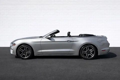 More photos of 2021 Ford Mustang EcoBoost Premium at Gravity Motor Cars, GA