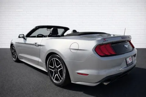 More photos of 2021 Ford Mustang EcoBoost Premium at Gravity Motor Cars, GA