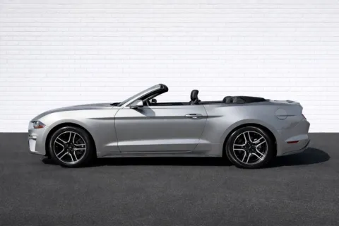 More photos of 2021 Ford Mustang EcoBoost Premium at Gravity Motor Cars, GA