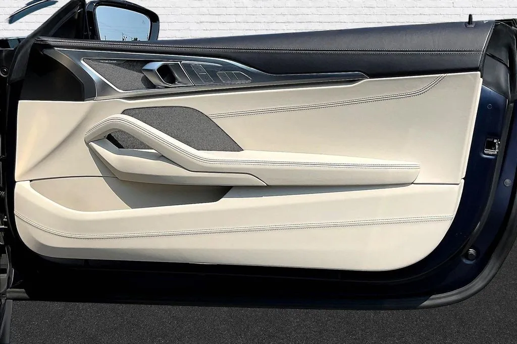 BMW 8 Series photo 23