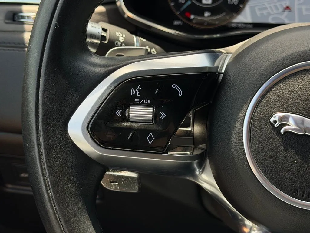 Jaguar F-PACE photo 18