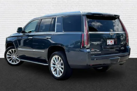 More photos of 2019 Cadillac Escalade Luxury at Gravity Motor Cars, GA