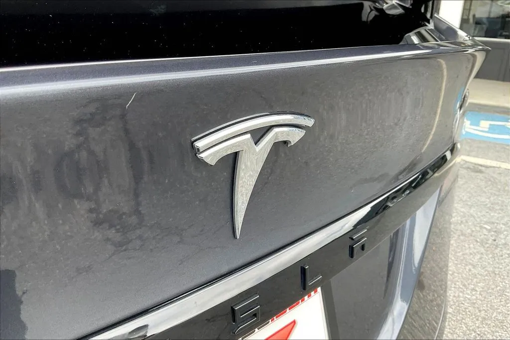 Tesla Model X photo 15