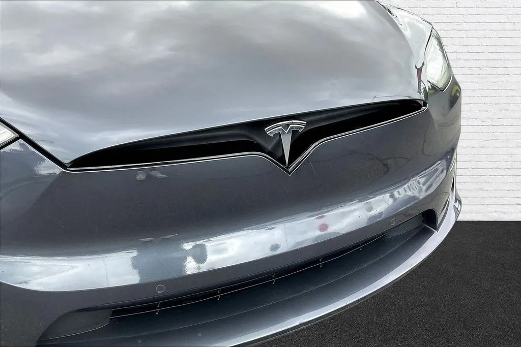 Tesla Model X photo 23