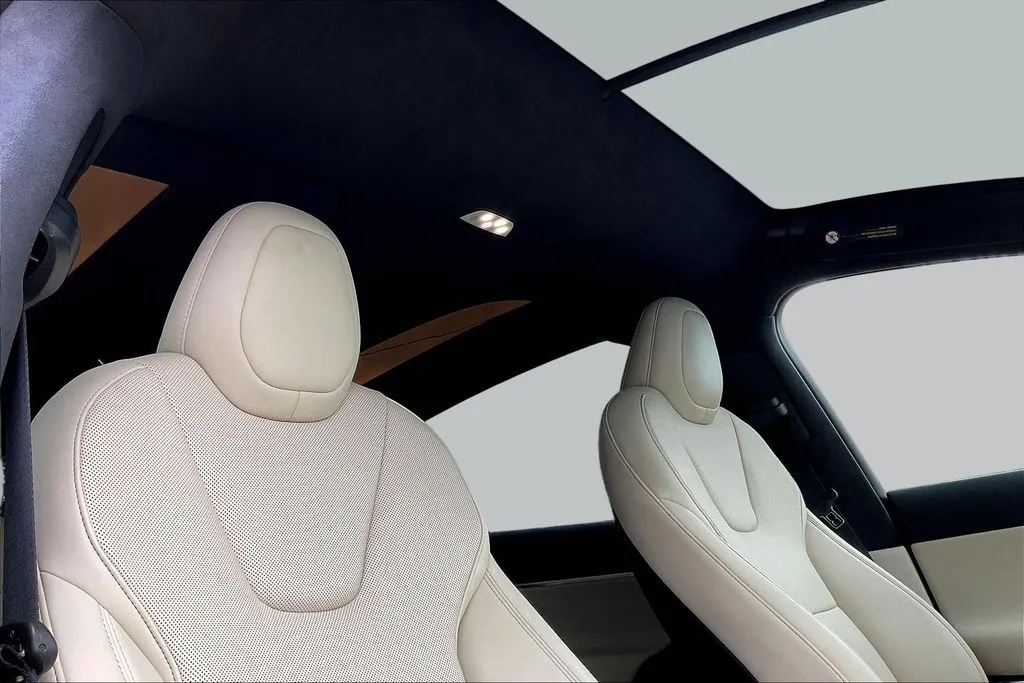 Tesla Model X photo 18