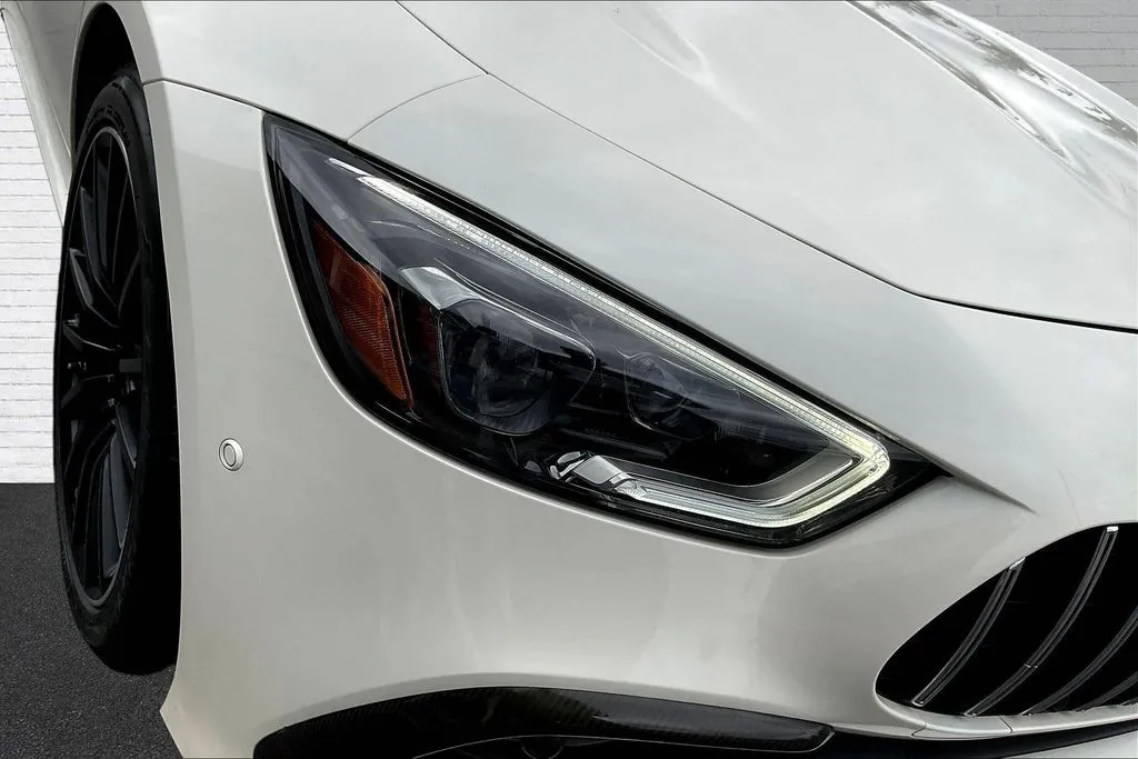 Mercedes-Benz AMG GT 43 photo 32