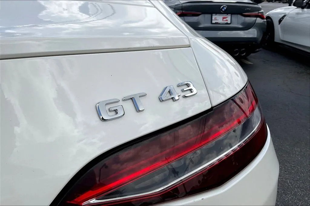 Mercedes-Benz AMG GT 43 photo 24