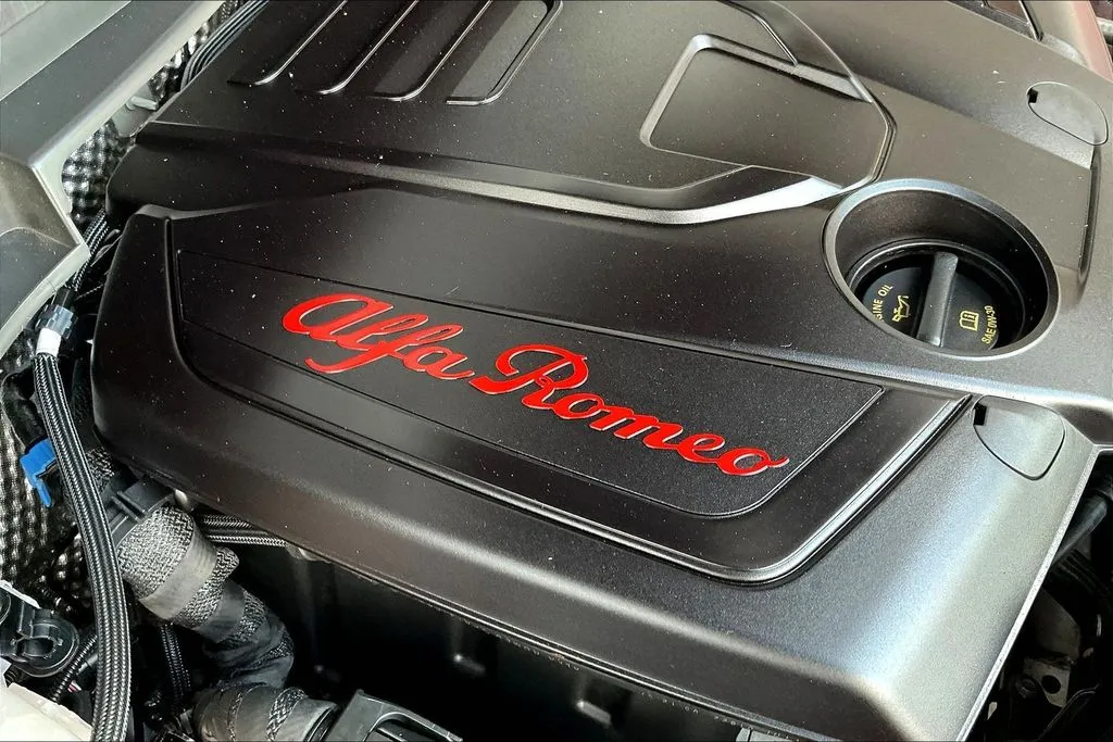Alfa Romeo Stelvio photo 31