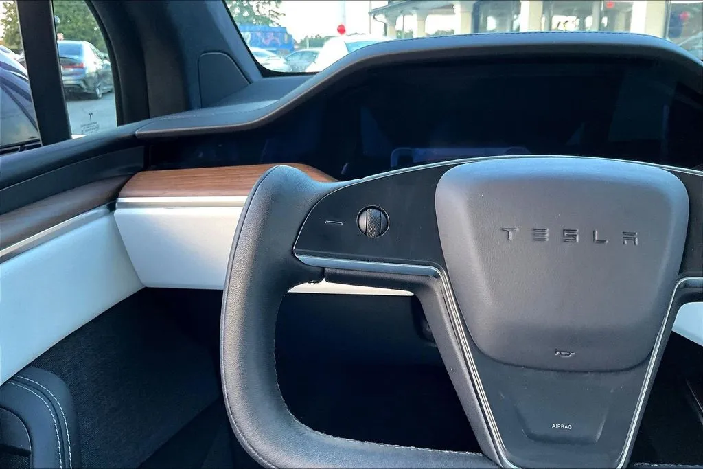 Tesla Model X photo 11