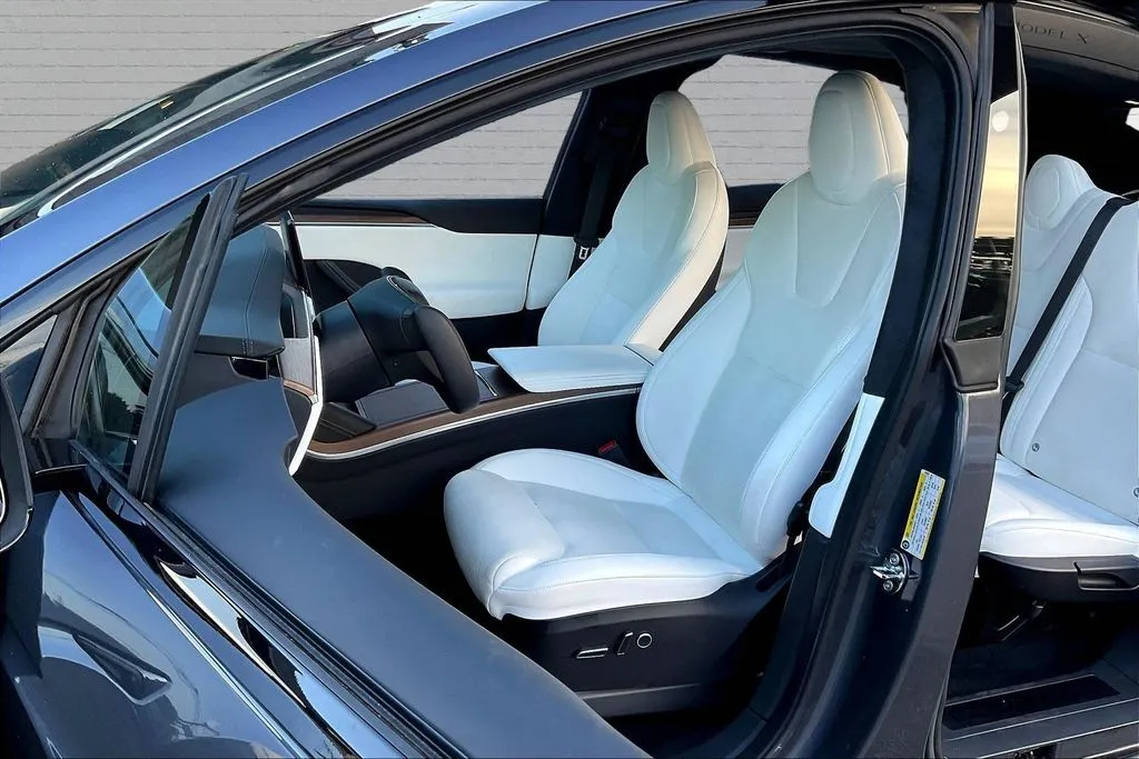 Tesla Model X photo 20