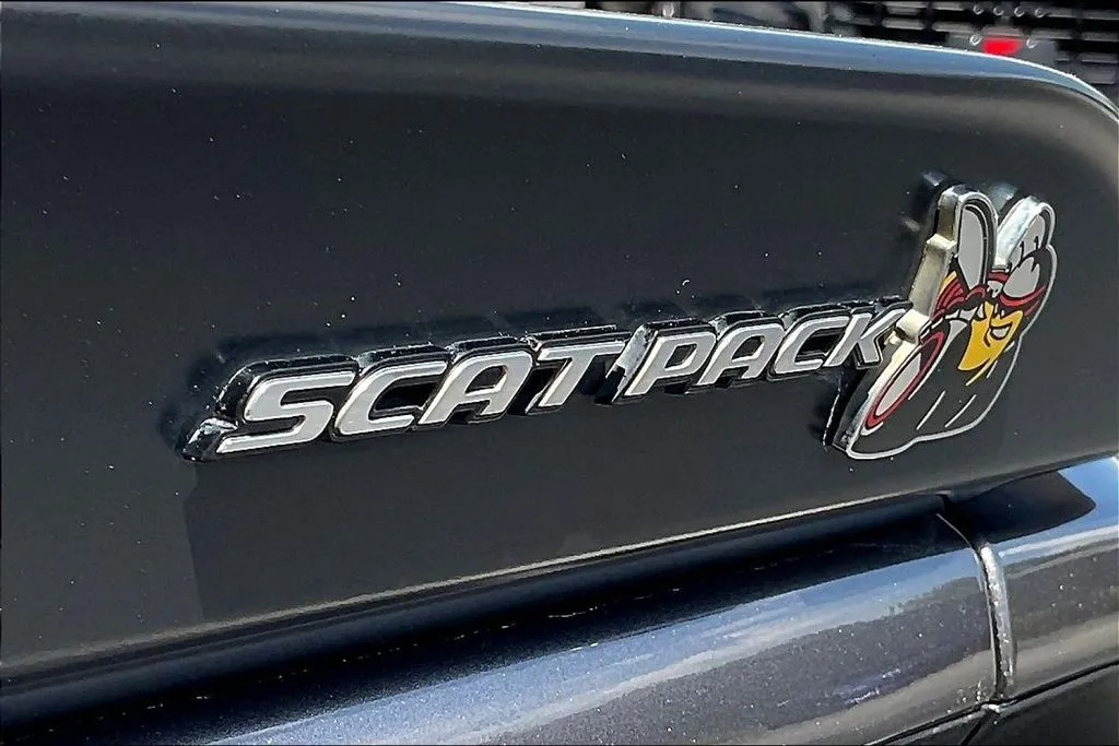 Dodge Challenger photo 22