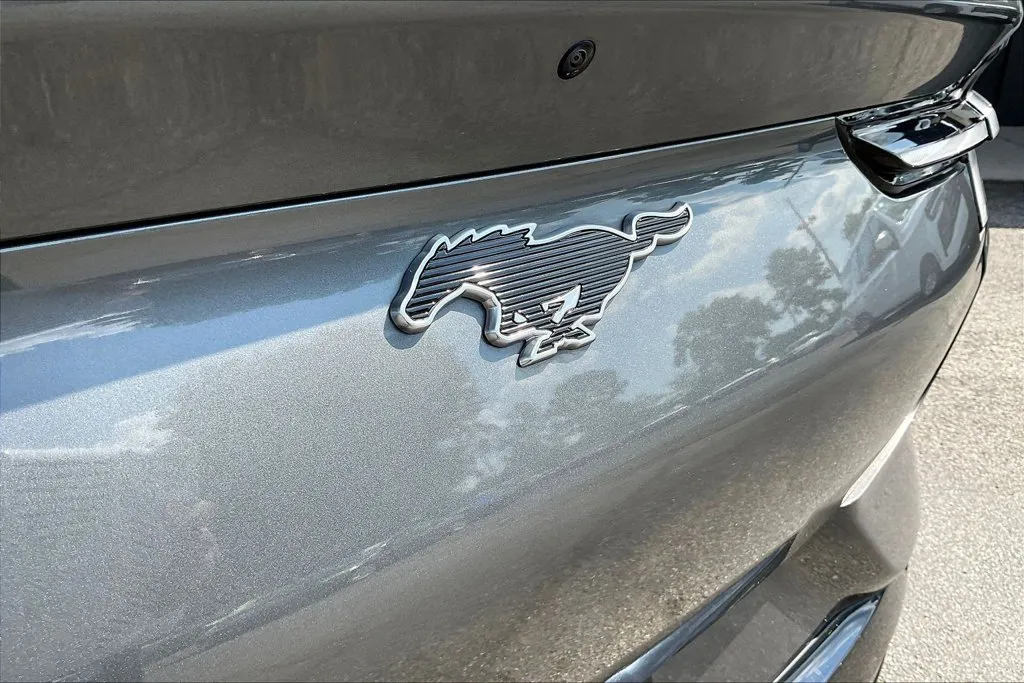 Ford Mustang Mach-E photo 24