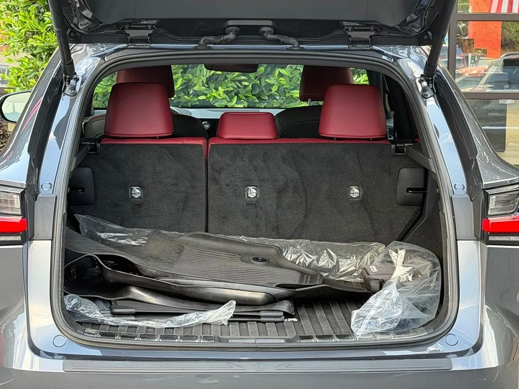 Lexus NX photo 18