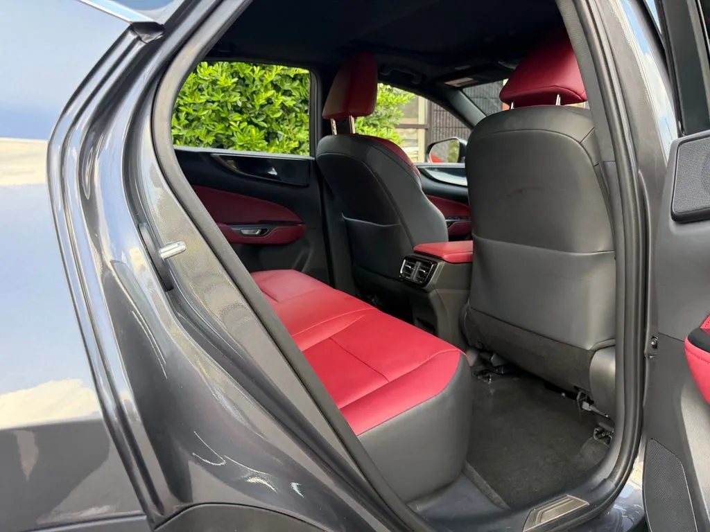 Lexus NX photo 39
