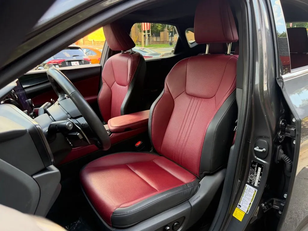 Lexus NX photo 26