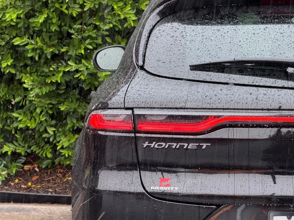Dodge Hornet photo 15