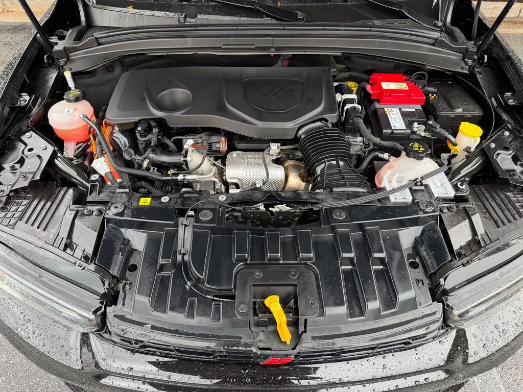 Dodge Hornet photo 6