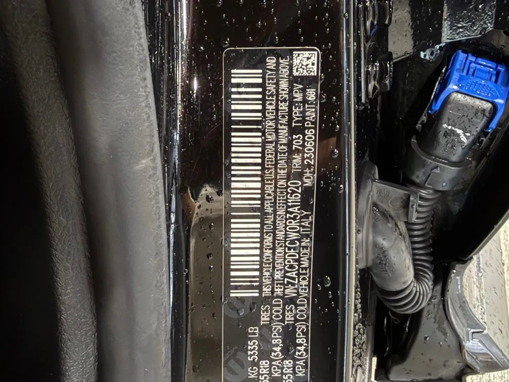 Dodge Hornet photo 54